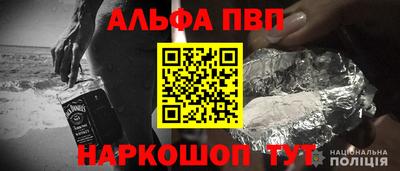 крисы Коммунар