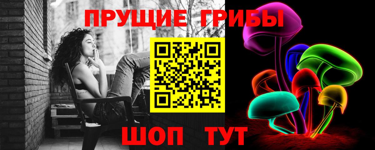 Галлюциногенные грибы прущие грибы  Вход с VPN  Кириши  Псилоцибиновые грибы мицелий 