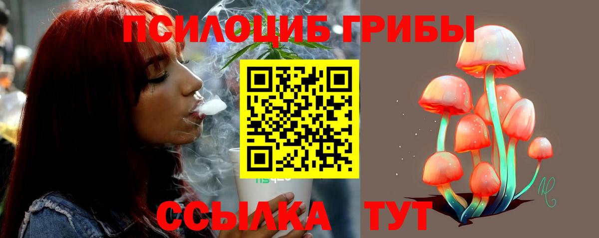 Псилоцибиновые грибы Psilocybe Кириши